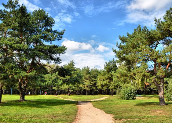 ����������� ��� ������� ������ ���� �������� ������� ������� � �� 