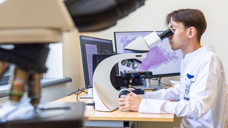 �������� ������� ��� ������������ ����������� ��������� �������� � ������