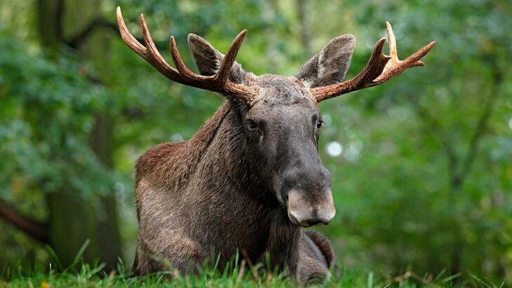 ����� ������ ����� �������� � ������ �������� � ���������� ��������