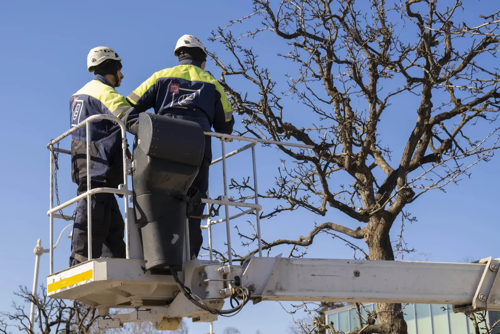 �������� ������� �������� � ����������� �������� �� ���� �� �������� ������