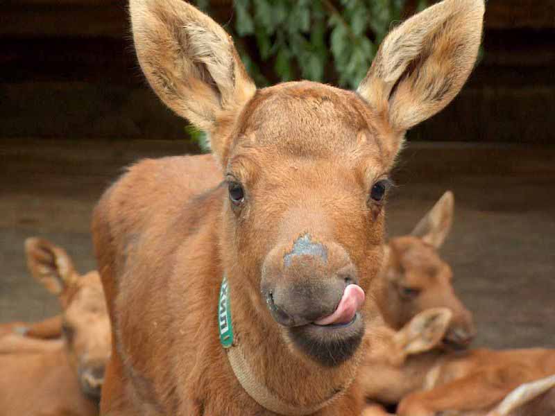 ���������� �� �������� ������� ����� ��������� ��� ���������