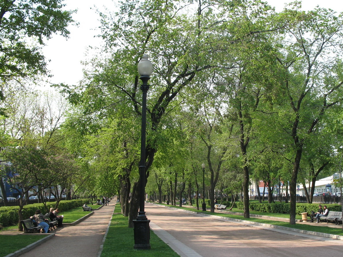 �� ���������� �� ���������