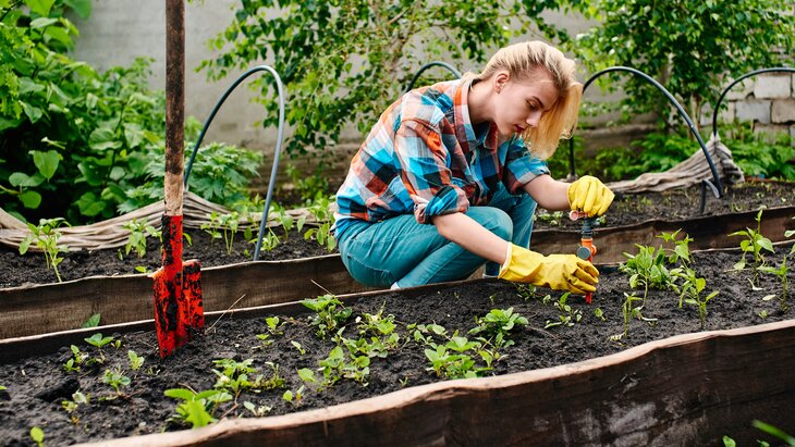 ������� ���������� � ����� ������� ������������ ��������� �������� � ����