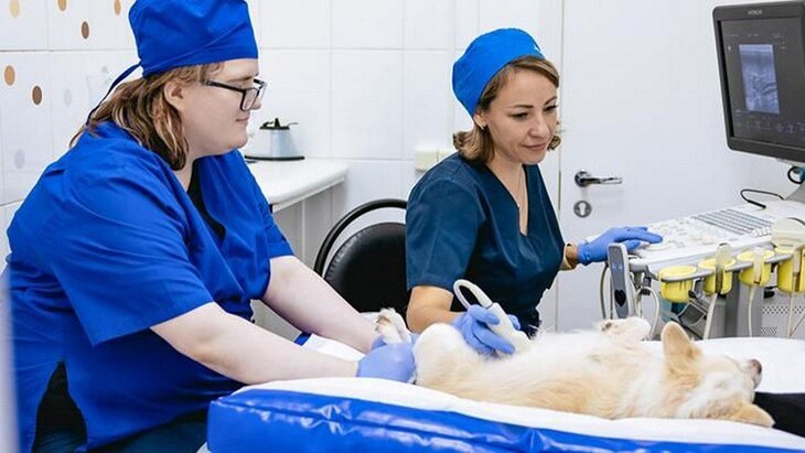 ��������� ���������� � �������� ��������� ������������