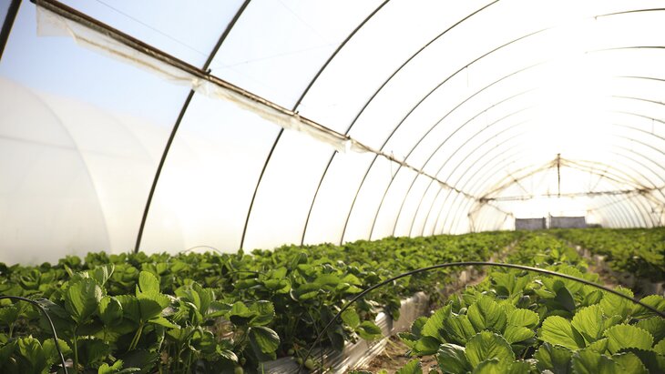 ������� ����������, ��� ����������� ������� � ������ ������� ������