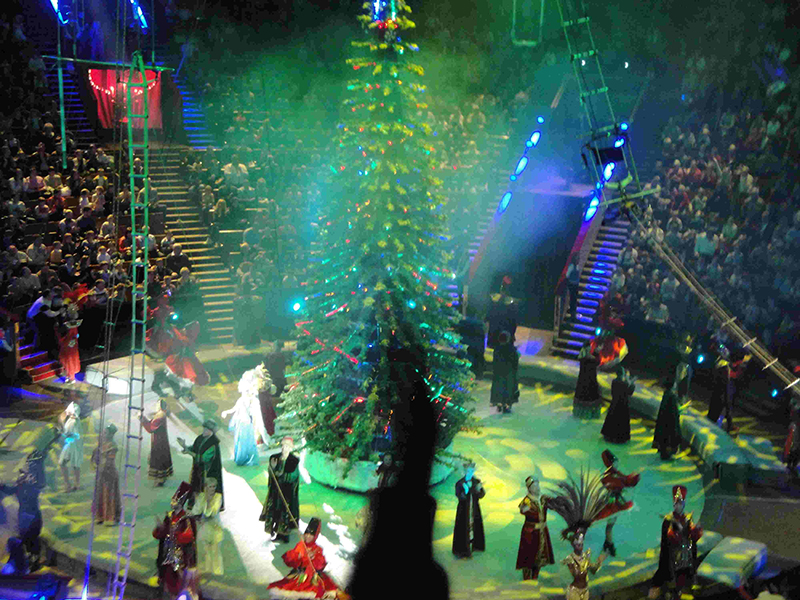 ��������� ������ ������� ������ ���� �� ������ �����