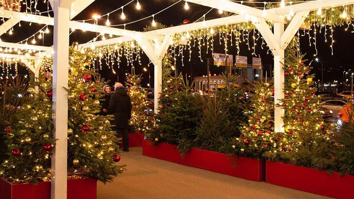 ������� ��������� �������� ������� � ������ ������� "���� � ������"