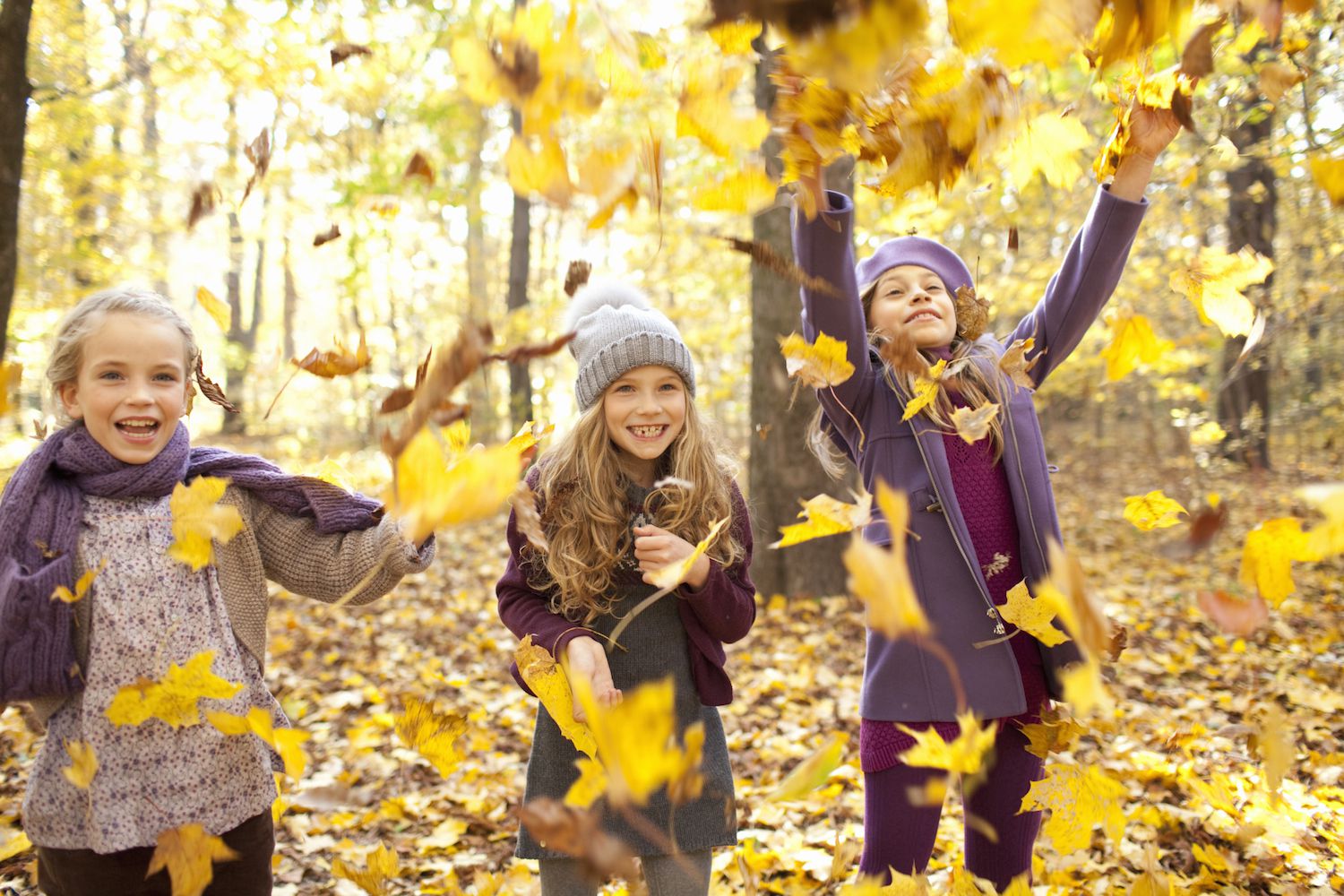 � ���� ��������� ��������� �� ��������