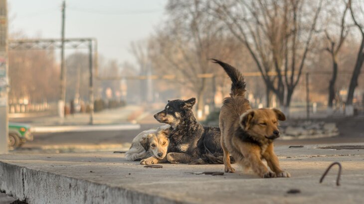 ������� ������� ����������� ����� �� ������ ����� �� ��������� ��������� �����