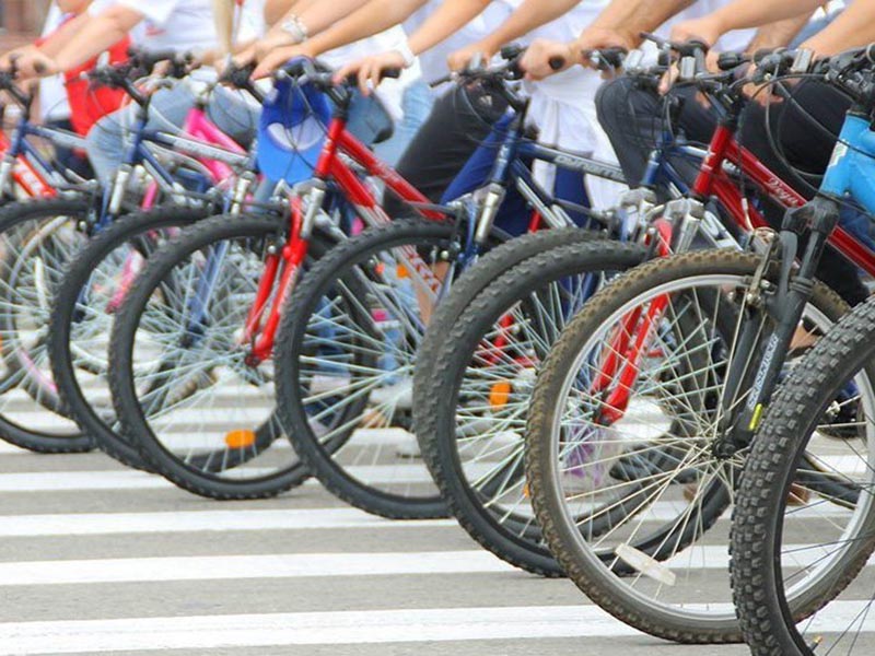 ������������� ������ ������������ �� ������������� ���������-2016