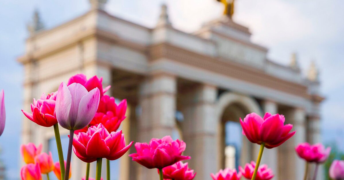 ����� ����������� ����������� ������� �� ���� 27 � 28 ������