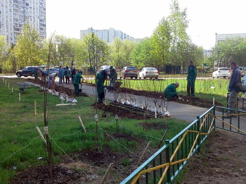 ��������� �������� �������� �� ������� ����� �������� � ���