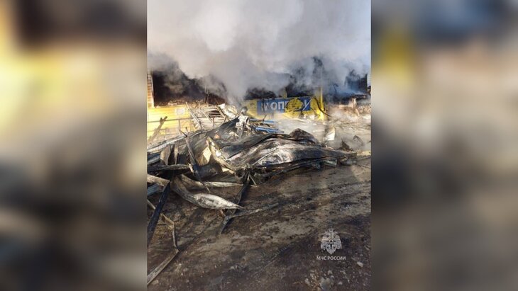 ���� ����� ������� ��� ������� ������ � ����������� � ����������� ����