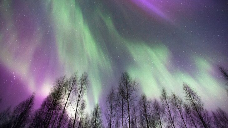 ������ ������ ����������� ��������� ������ ��� ������� ����� ��������� ����