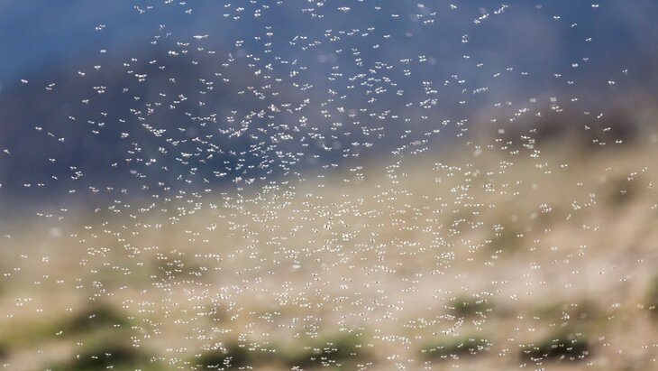 ������ ���������, ����� � ������ �������������� �����