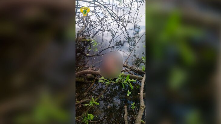 ���� ����������� ������� ���������� � ����� ������ ���������