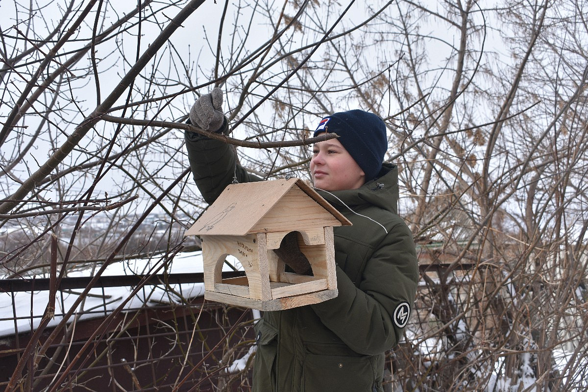 В Лианозовском парке проходит конкурс на лучшую птичью кормушку