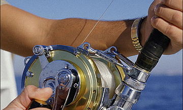Рыболовный фестиваль «Золотая рыбка» пройдет в САО 4 мая.