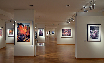 Выставка «Глазами художника» открылась в арт-галерее «Дрезден» 