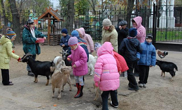 16 бесплатных экскурсий в Московском зоопарке проведут гиды столичных музеев