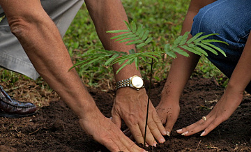 Программа  «Миллион Деревьев» в Восточном Дегунине